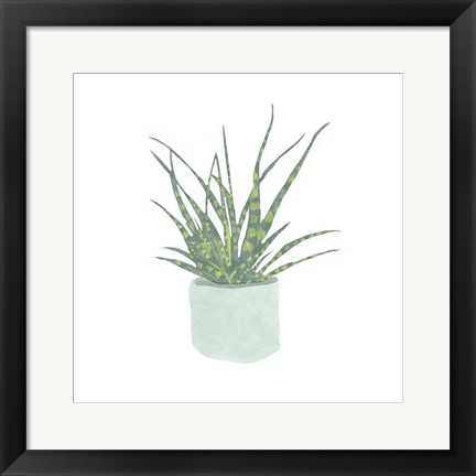 Framed Snake Plant I Print