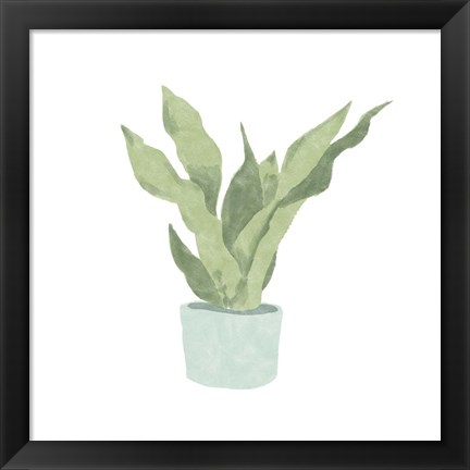 Framed Snake Plant II Print