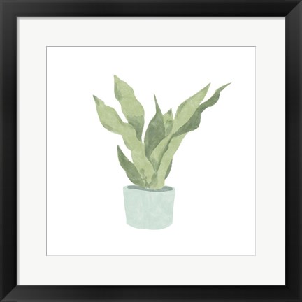 Framed Snake Plant II Print