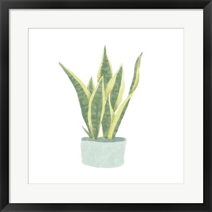 Framed Snake Plant III Print