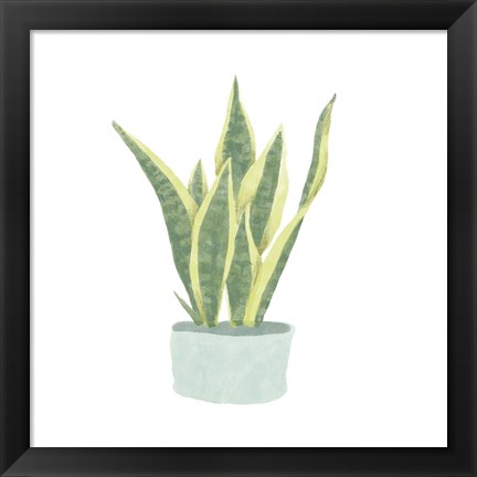 Framed Snake Plant III Print