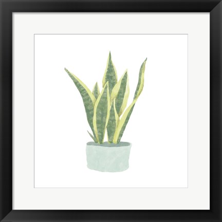 Framed Snake Plant III Print