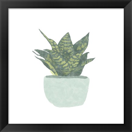 Framed Snake Plant IV Print