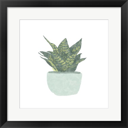 Framed Snake Plant IV Print