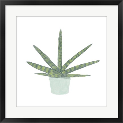 Framed Snake Plant V Print