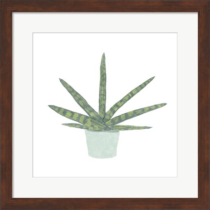 Framed Snake Plant V Print