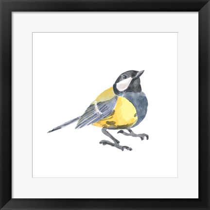 Framed Songbird III Print