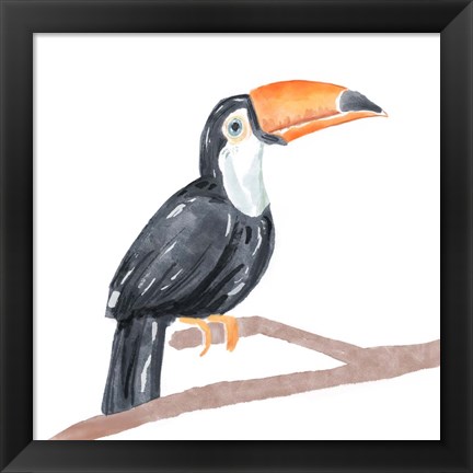 Framed Tropical Toucan I Print