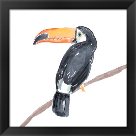 Framed Tropical Toucan II Print