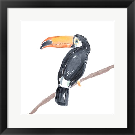 Framed Tropical Toucan II Print