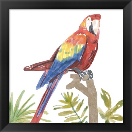 Framed Tropical Parrot Print