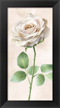 Framed Ivory Roses Panel I Print