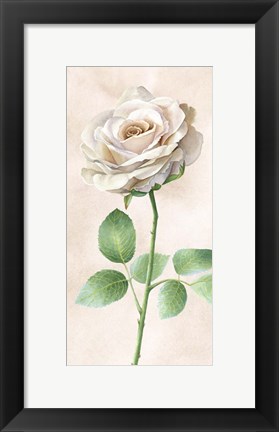 Framed Ivory Roses Panel I Print