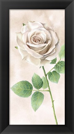 Framed Ivory Roses Panel II Print