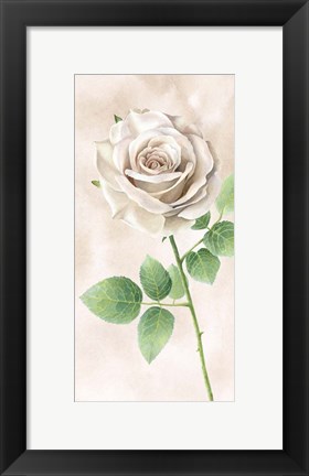 Framed Ivory Roses Panel II Print