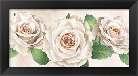 Framed Ivory Roses Landscape I Print