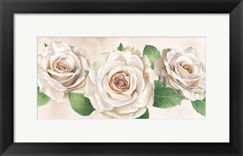 Framed Ivory Roses Landscape I Print