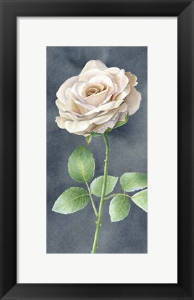 Framed Ivory Roses on Gray Panel I Print