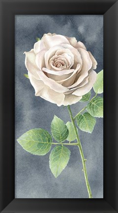 Framed Ivory Roses on Gray Panel II Print