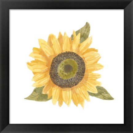 Framed Single Sunflower I Print