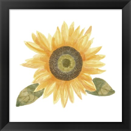 Framed Single Sunflower II Print