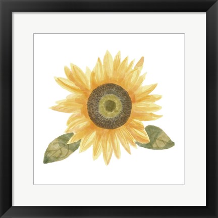 Framed Single Sunflower II Print