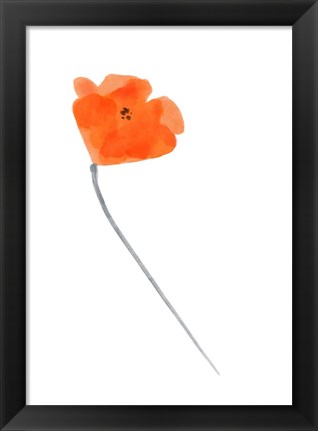 Framed Solo Poppy Red IV Print