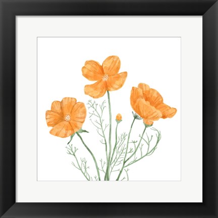 Framed Wildflower Group III Print