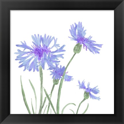 Framed Wildflower Group IV Print