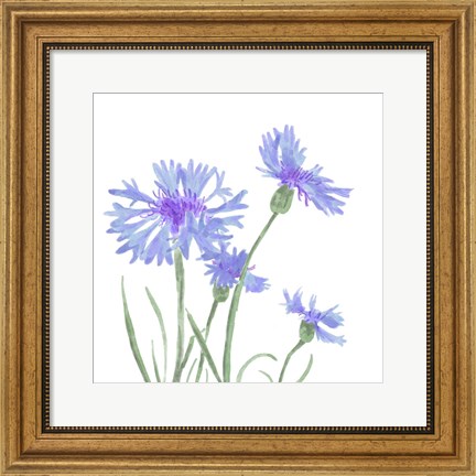 Framed Wildflower Group IV Print