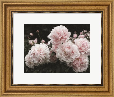 Framed Peony Poetry I Print