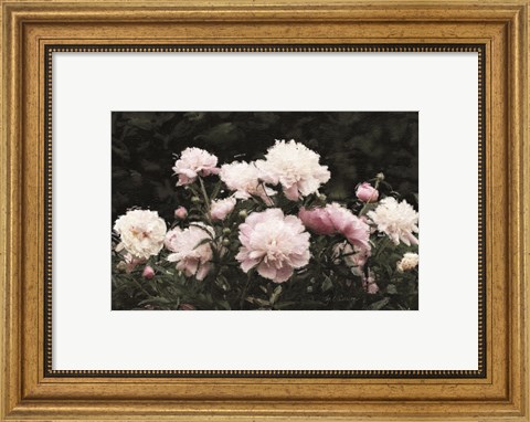 Framed Peony Poetry II Print