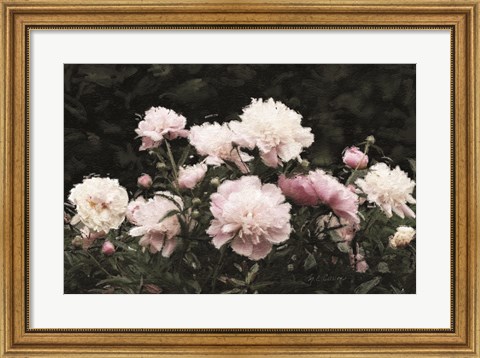 Framed Peony Poetry II Print