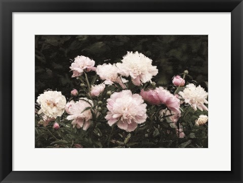 Framed Peony Poetry II Print