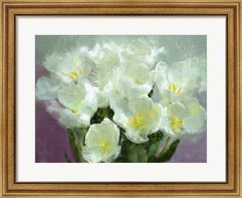 Framed Sunlit Tulips Print