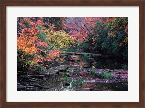 Framed Fall Creek Print