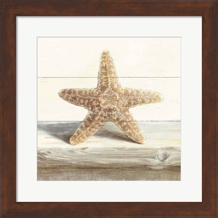 Framed Driftwood Shell III Print