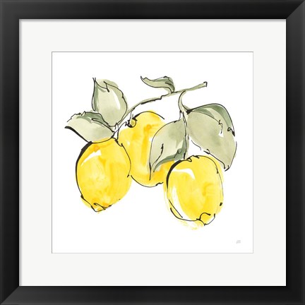 Framed Lemons IV Print