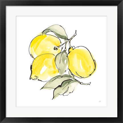 Framed Lemons III Print