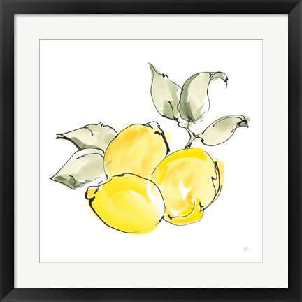 Framed Lemons II Print