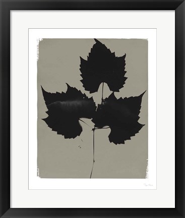 Framed Nature by the Lake Leaves I Gray Print