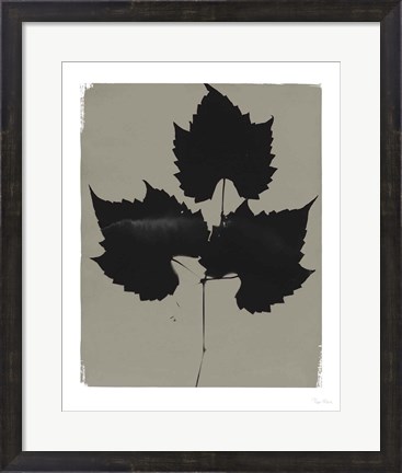 Framed Nature by the Lake Leaves I Gray Print