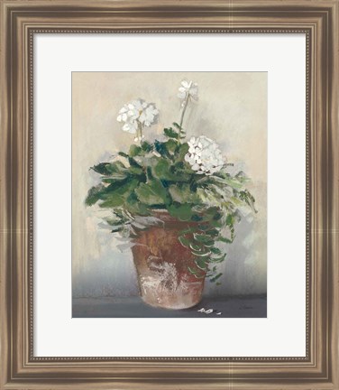 Framed Pot of White Geraniums Print