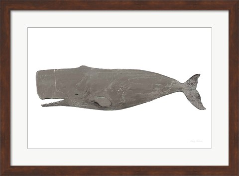 Framed Whale on White Print