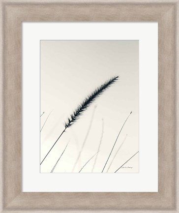 Framed Field Grasses V Print