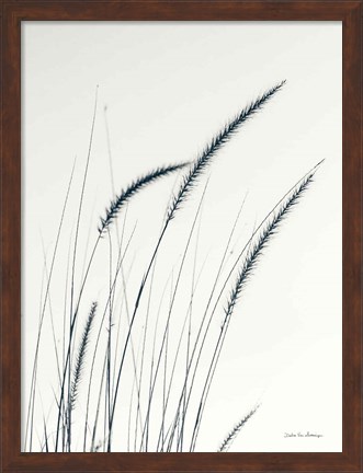 Framed Field Grasses III Print