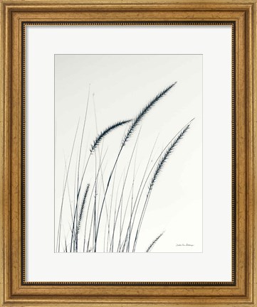 Framed Field Grasses III Print