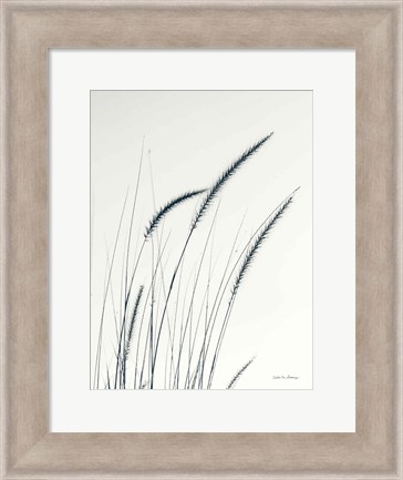 Framed Field Grasses III Print