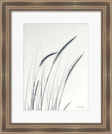 Framed Field Grasses III Print