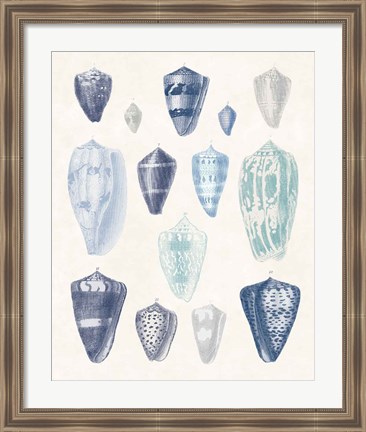 Framed Blue Shell Assortment I Print